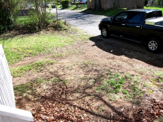 Since Spring has finally made it upon us, I planted some grass seed in our pitiful looking front yard.