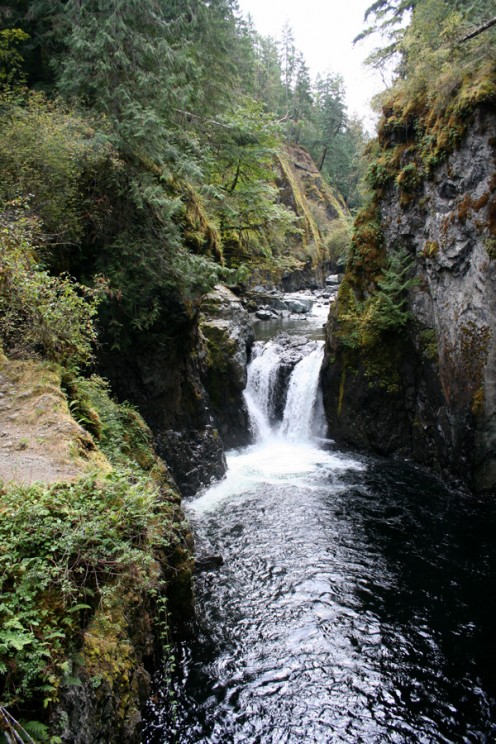 Englishman River Falls 