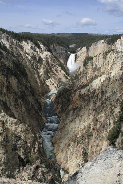 Distant view of lower falls at Yellowstone