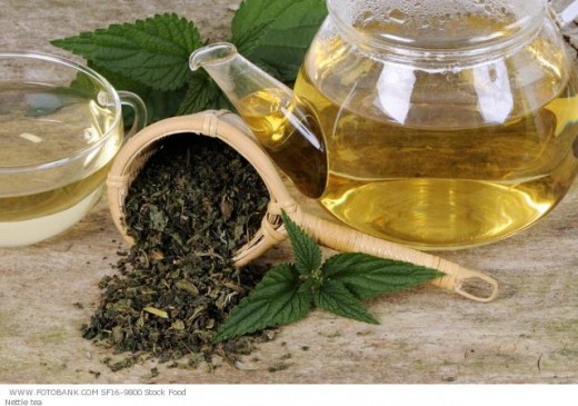 You can make nettle tea at home or purchase it from a health store or online.