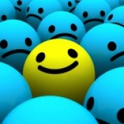 babarays profile image