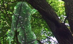 http://s1.hubimg.com/u/4878768_f248.jpg