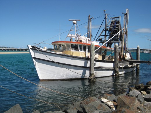 Enjoy a fishing charter with mates !