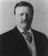 Teddy Roosevelt ran under a third party and lost, not because he was a bad candidate, but because it split the republican vote. What incentive is enough for us to vote for a third party?