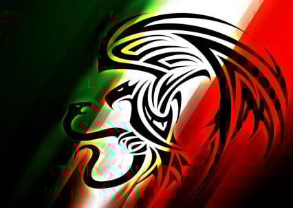 Mexican Flag