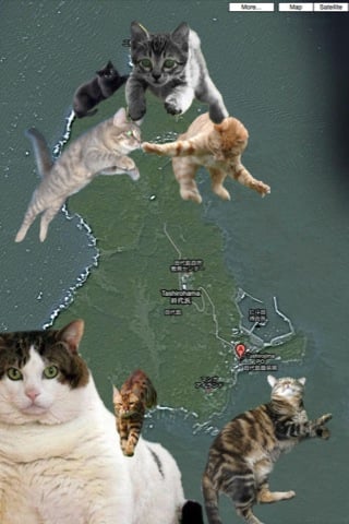 Cat Island, officially known as Tashiro Island is an island near Ishinomaki City in Miyagi Prefecture and yes, to answer your one burning question its covered in cats. Check out this Google Maps satellite view of the island.