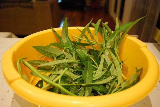 Kangkung/water spinach/morning glory