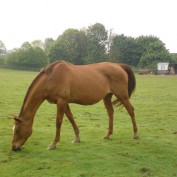 fudge128 profile image