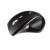 The Mouse
