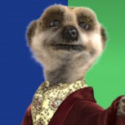 Jason Bassey profile image