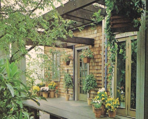 11 Ways to Make Your Patio Look Like a Garden | HubPages