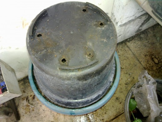 Practical-small scale composter for household compost which consists of a pair of flower pots.