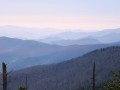 Great Smoky Mountains National Park Pictures