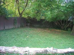 EWWW..REALITY BACK YARD