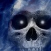 webjam1 profile image