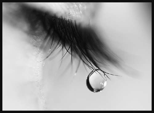 Tears are words the heart can't express