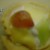mixed fruit tart mixed fruit tart