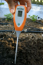 Meter reads 7 before being inserted into the soil