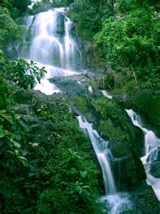 Fresh Stream