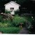 Huge rock with tall perennial plant in front. This is in back yard. Huge rock with tall perennial plant in front. This is in back yard.