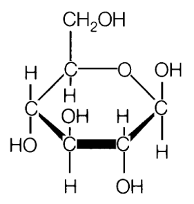 A glucose molecule