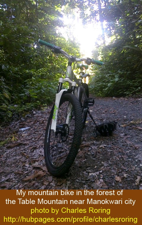 Mountain biking through the rainforest of the Table Mountain near Manokwari city - the capital of West Papua province in the Indonesia
