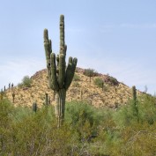 iShopSouthwest profile image