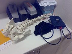 Model of human spine Photo credit: Elmindreda @flickr