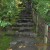 follow the Path ol Enlightment
