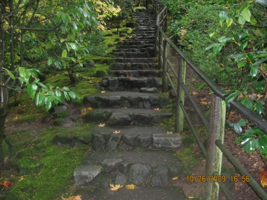 follow the Path ol Enlightment