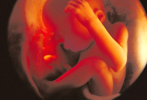 28 weeks This little one might weigh 2lbs 6oz and can survive if born now