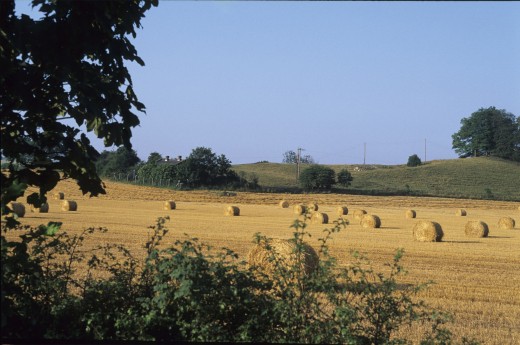 Harvest time on the Yorkshire Wolds