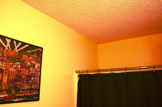 I painted the bathroom tonight to match the rest of the house.  I wonder if my wife will notice.
