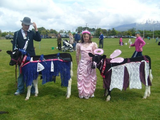 Two of my grandchildren on show day at school, dressed up their calves a real creative arts school project.