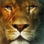 Ladycwells profile image