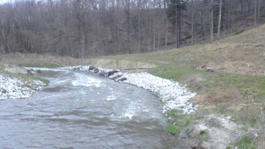 Here many changes have been made to slow erosion and provide fish habitat, including tree planting on the hill on the right hand (West) side of the river.