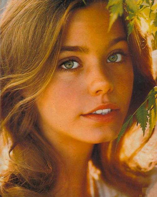 Susan Dey used to be a model before her successful role as Laurie Partridge in The Partridge Family.