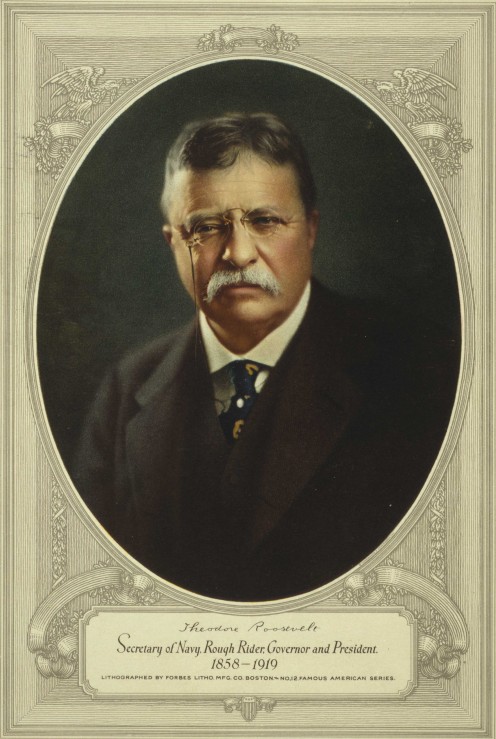 President of the United States Theodore Roosevelt