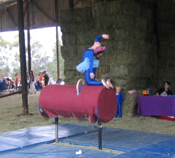 My daughter was able to take vaulting lessons when another homeschool mom and I exchanged services.