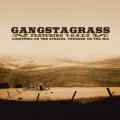 Gangstagrass - Lightning on the Strings, Thunder on the Mic Review