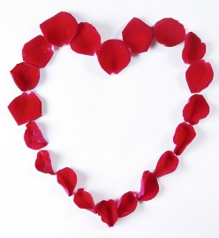 http://s4.hubimg.com/u/5021279_f248.jpg