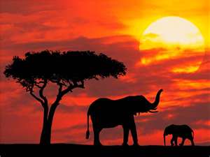 Kenyan African Sunset source westfordk