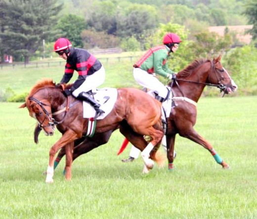 two horses racing picture