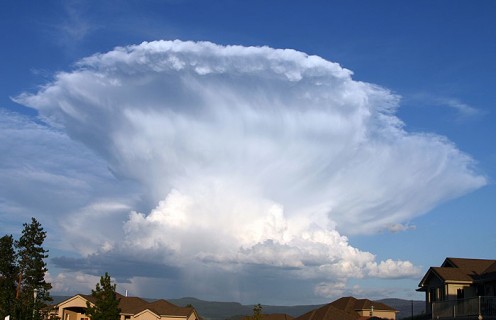 Typical 'anvil' shape storm cloud.