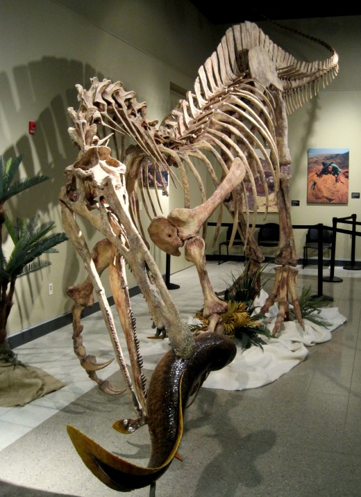 Suchomimus "crocodile mimic" (fish eater) Suchomimus "crocodile mimic" (fish eater)