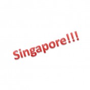 SingaporeSlinger profile image