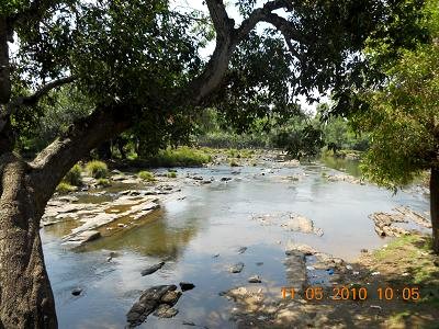 The River Cauvery at Dubare forest