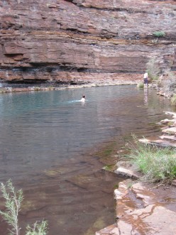 http://s2.hubimg.com/u/5045665_f248.jpg
