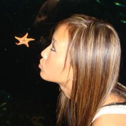 loveneverfails profile image