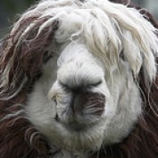Jon Mann profile image